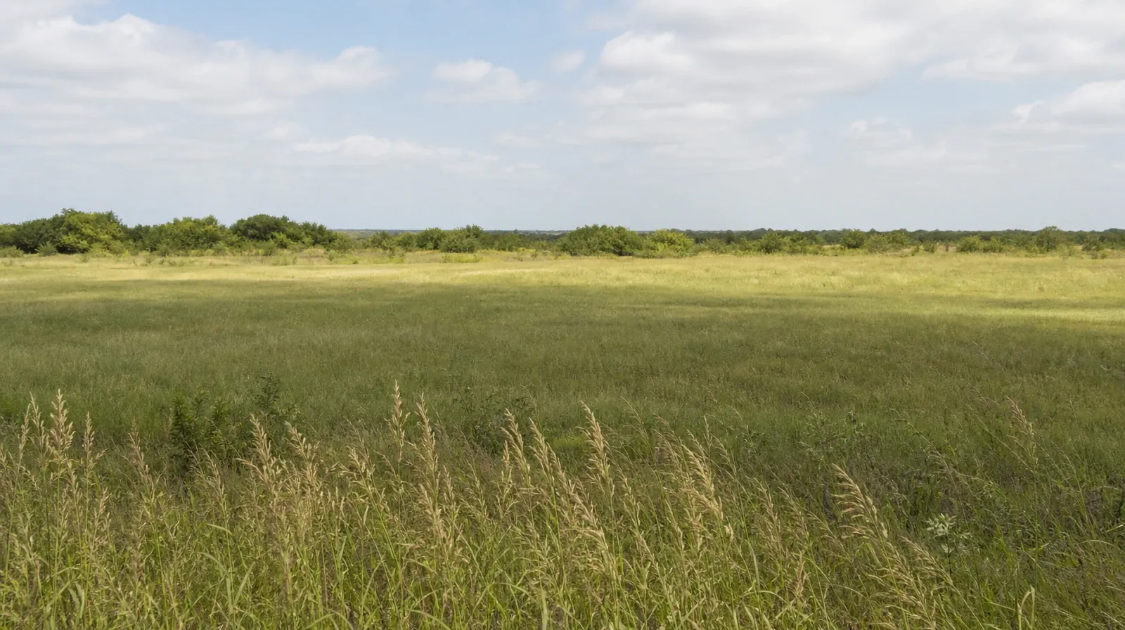 Planning Time Away for Treatment for Aventura, FL Residents | Tall seed heads frame a flat grassy clearing beneath passing… Tall seed heads frame a flat grassy clearing beneath passing… · Planning Time Away for Treatment for Aventura, FL Residents