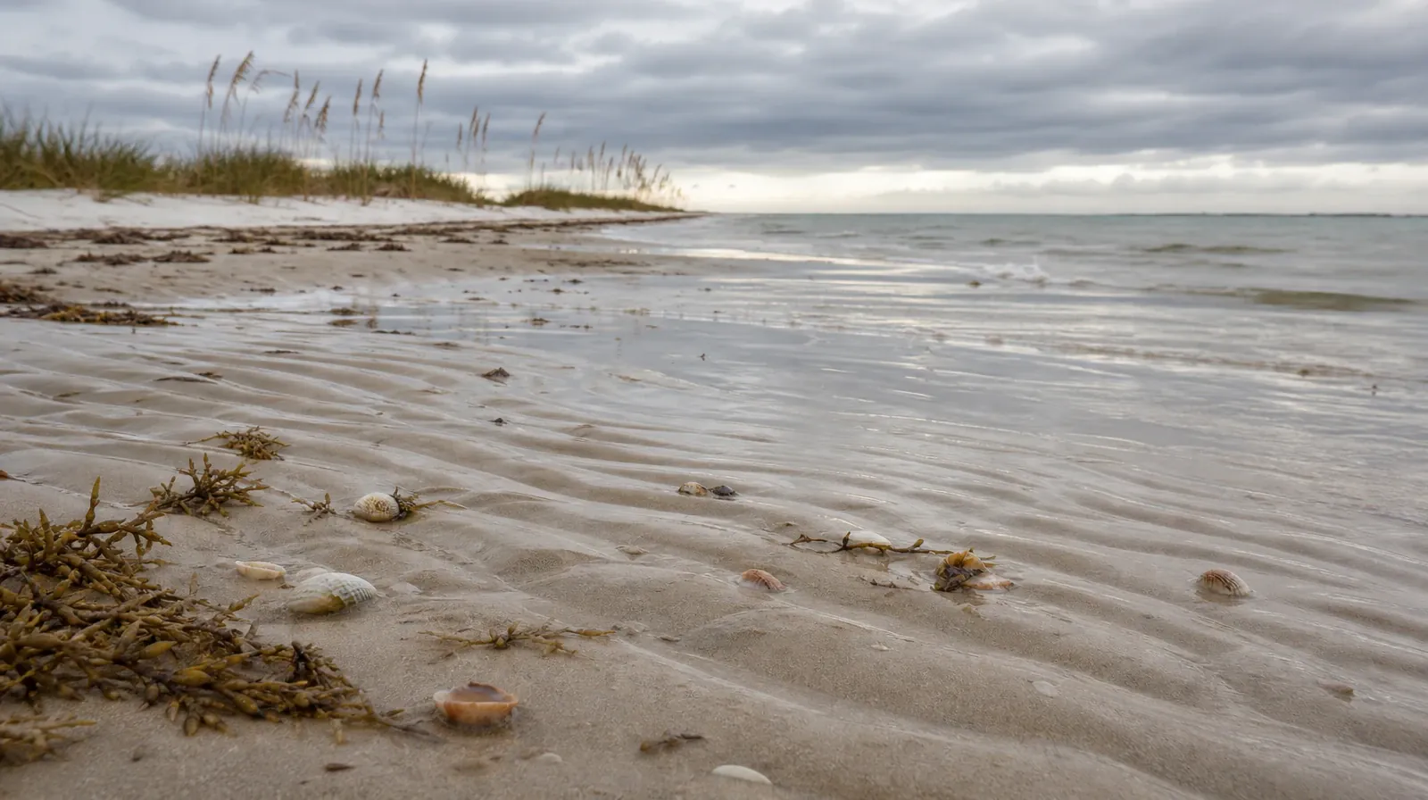 A quiet natural setting without a named geographic landmark · Supporting an Adult Loved One for Miami, FL Residents