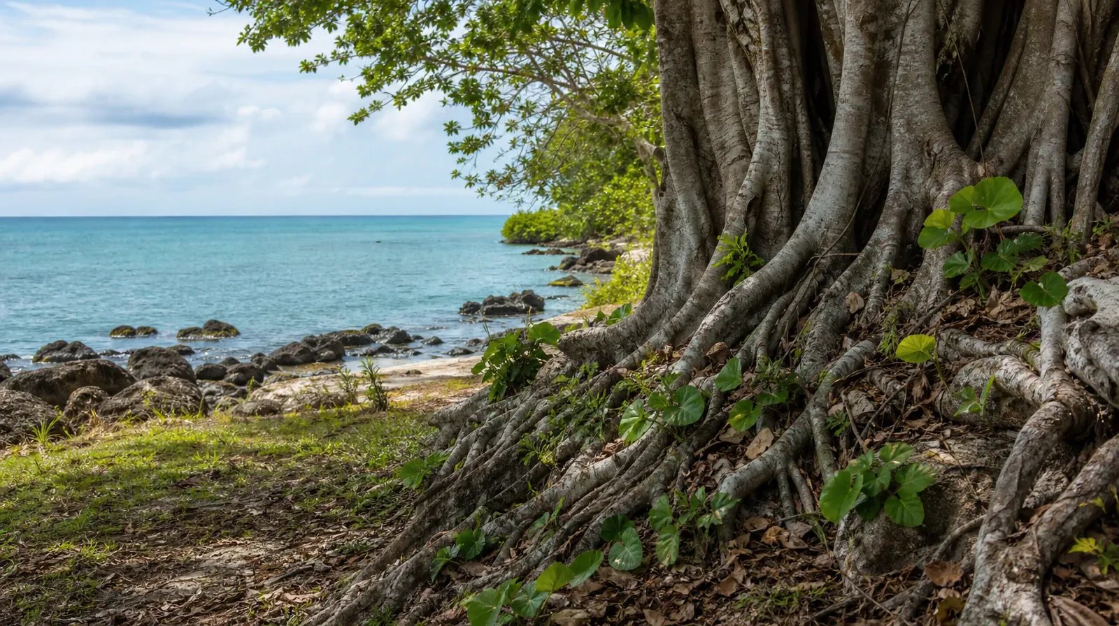 A quiet natural setting without a named geographic landmark · Starting a Treatment Conversation for Wynwood, Miami, FL