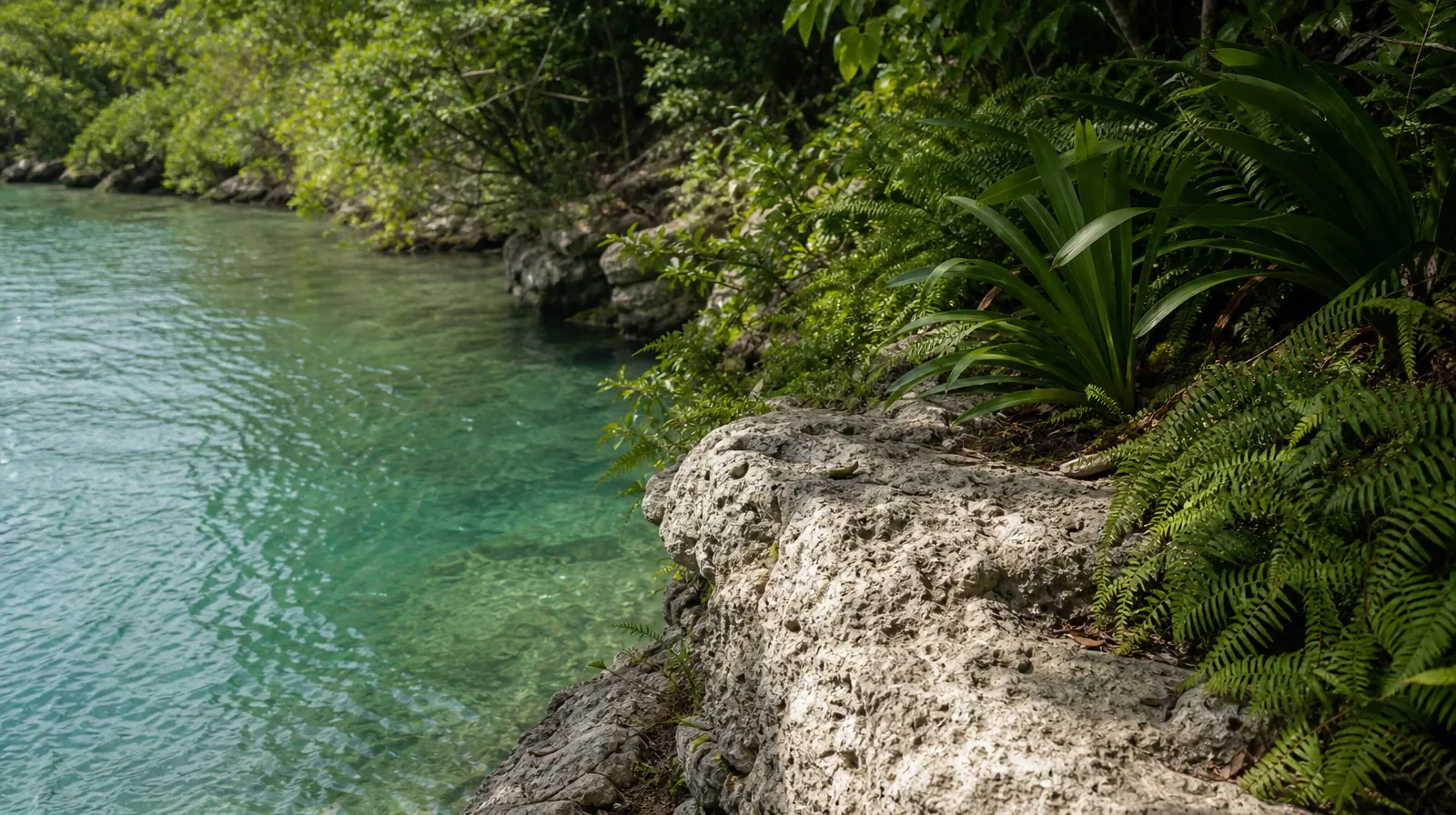 A quiet natural setting without a named geographic landmark · Treatment Cost Questions for Wynwood, Miami, FL Residents
