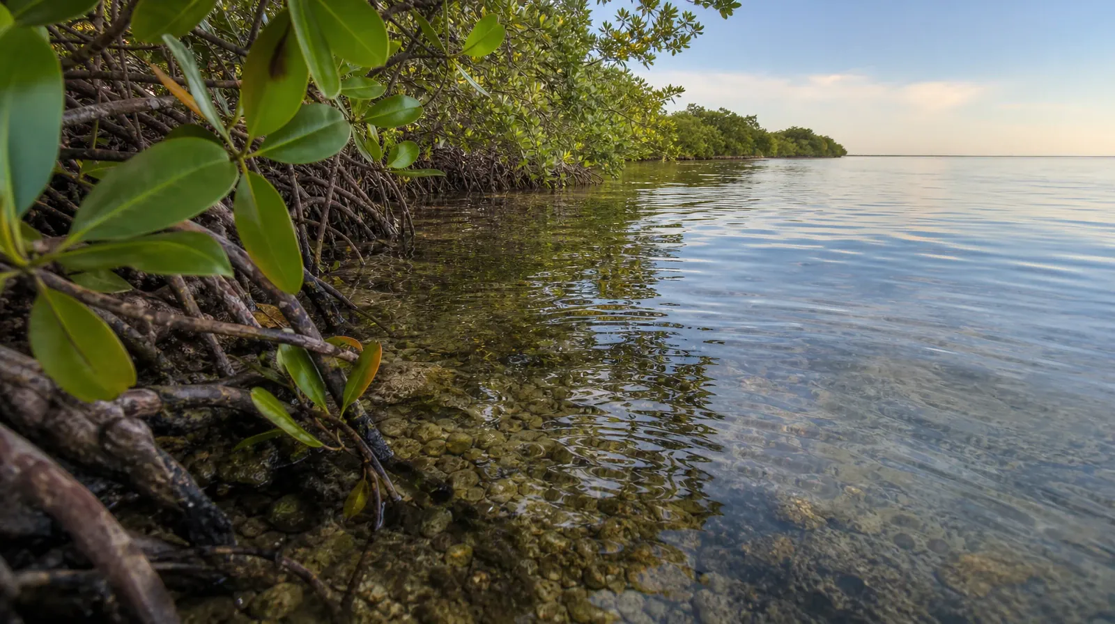Treatment Cost Questions About Hallucinogens Use in South Florida | A quiet natural setting without a named geographic… A quiet natural setting without a named geographic… · Treatment Cost Questions About Hallucinogens Use in South Florida