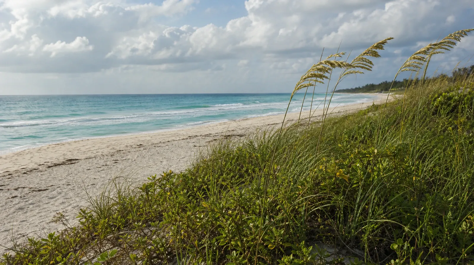 Hydromorphone Pain and Treatment Questions | A quiet natural setting without a named geographic landmark A quiet natural setting without a named geographic landmark · Hydromorphone Pain and Treatment Questions