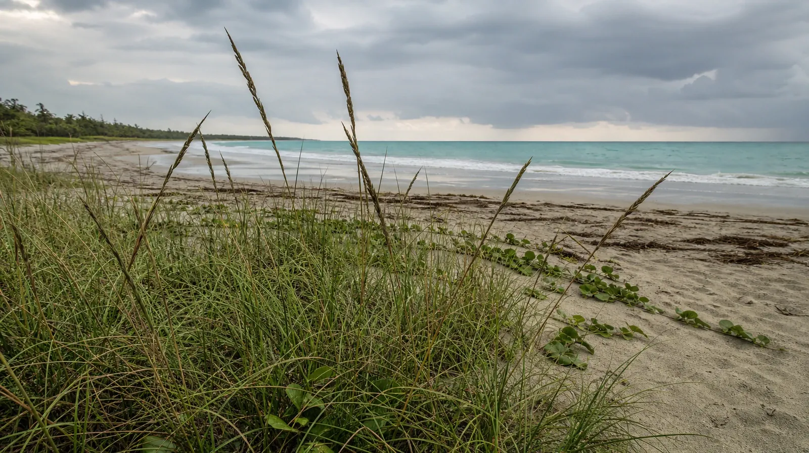 Talking With Your Prescriber About Inhalants Use in South Florida | A quiet natural setting without a named geographic… A quiet natural setting without a named geographic… · Talking With Your Prescriber About Inhalants Use in South Florida
