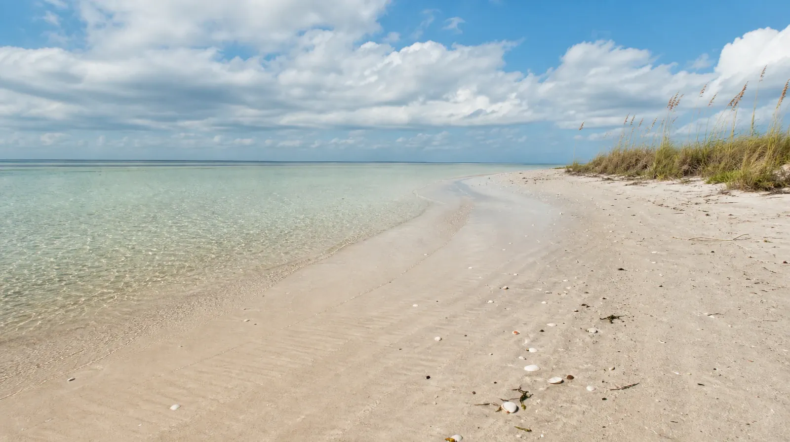 Treatment Cost Questions About Inhalants Use in South Florida | A quiet natural setting without a named geographic landmark A quiet natural setting without a named geographic landmark · Treatment Cost Questions About Inhalants Use in South Florida